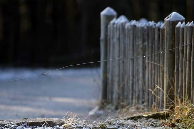 Letztes Bild erreicht
