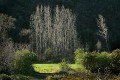 Landschaft * (28 Fotos)