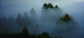 baeume_im_nebel * 660 x 305 * (7KB)