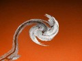eiszweig1 * 660 x 495 * (21KB)