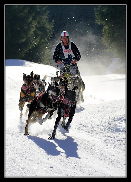 N�chstes Bild