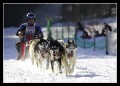 Hunderennen_quer_0009 * 660 x 475 * (125KB)