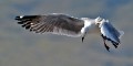 Moev0005pa * 660 x 331 * (152KB)
